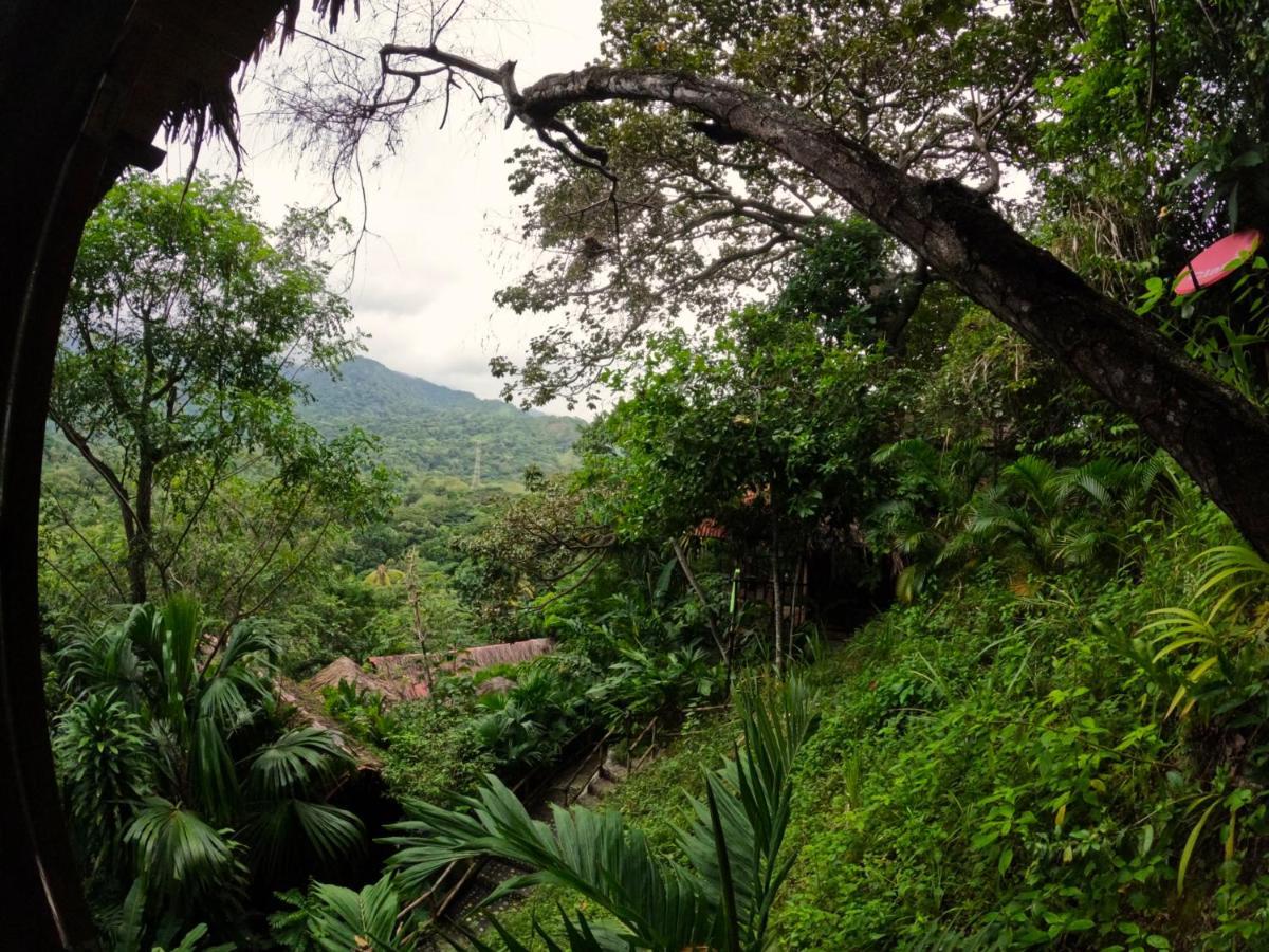 Ecohostal Rio Piedra الزينو المظهر الخارجي الصورة