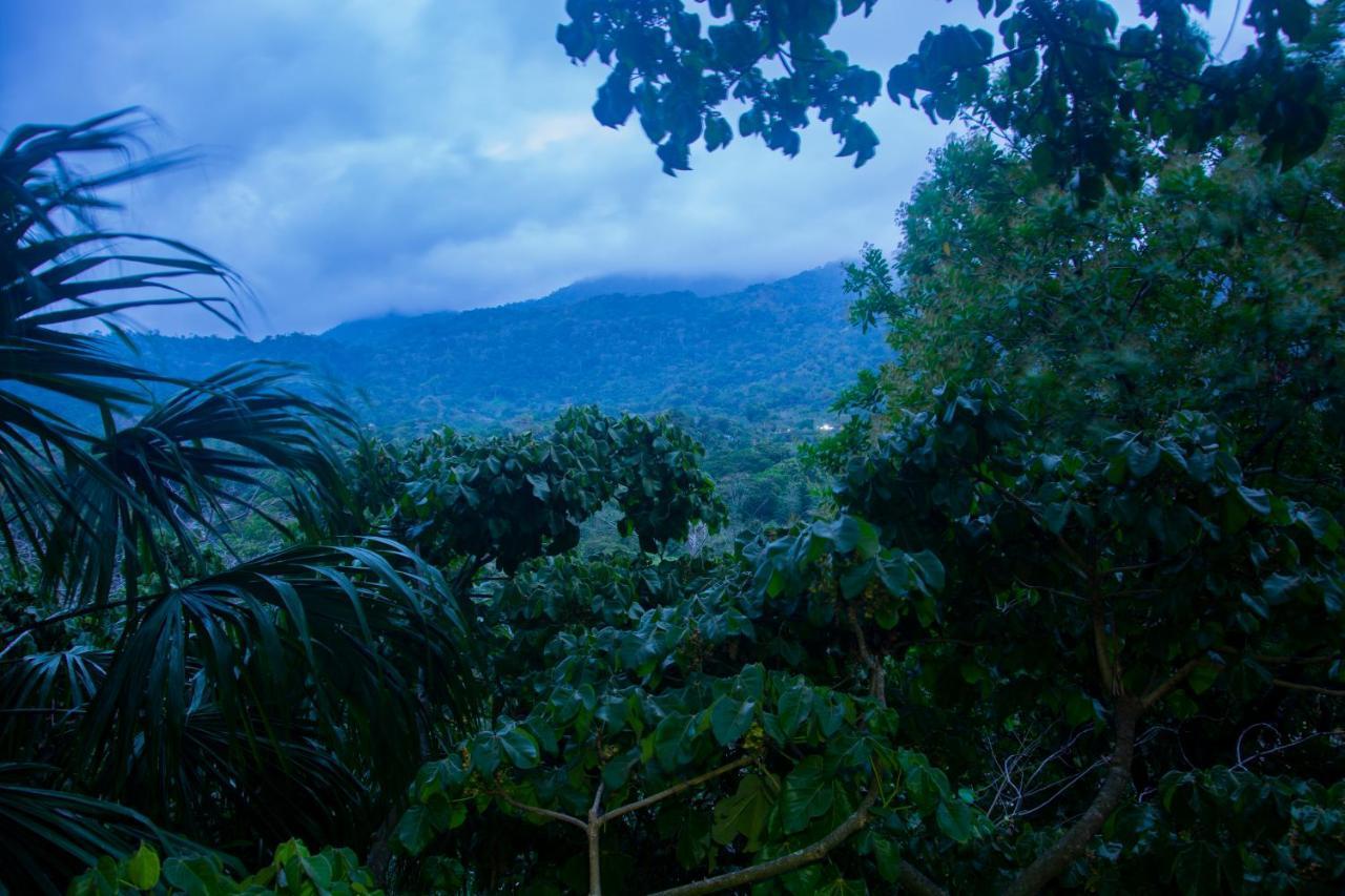 Ecohostal Rio Piedra الزينو المظهر الخارجي الصورة