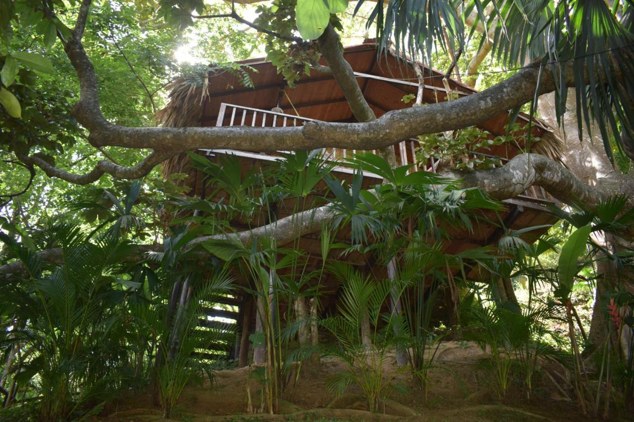 Ecohostal Rio Piedra الزينو المظهر الخارجي الصورة