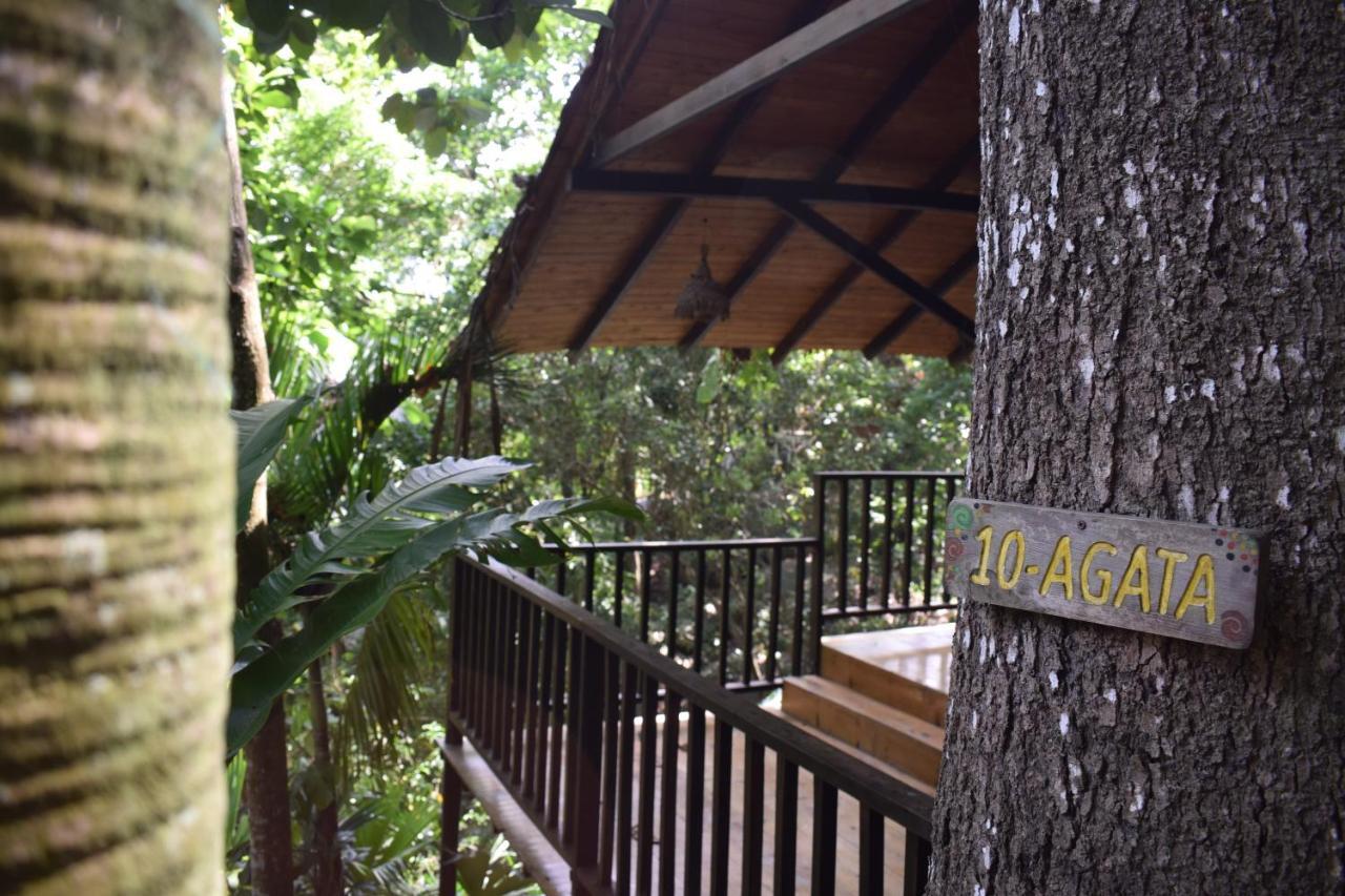 Ecohostal Rio Piedra الزينو المظهر الخارجي الصورة