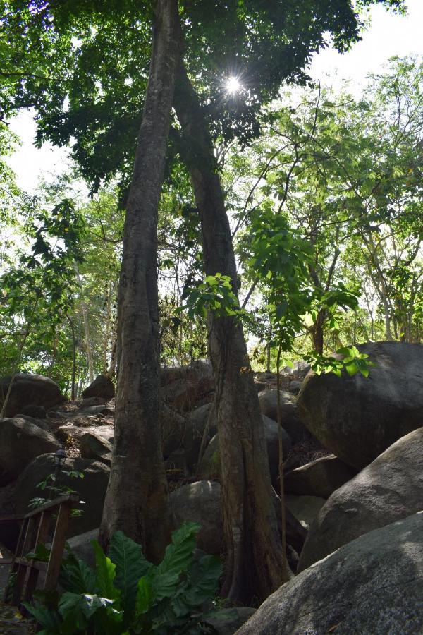 Ecohostal Rio Piedra الزينو المظهر الخارجي الصورة