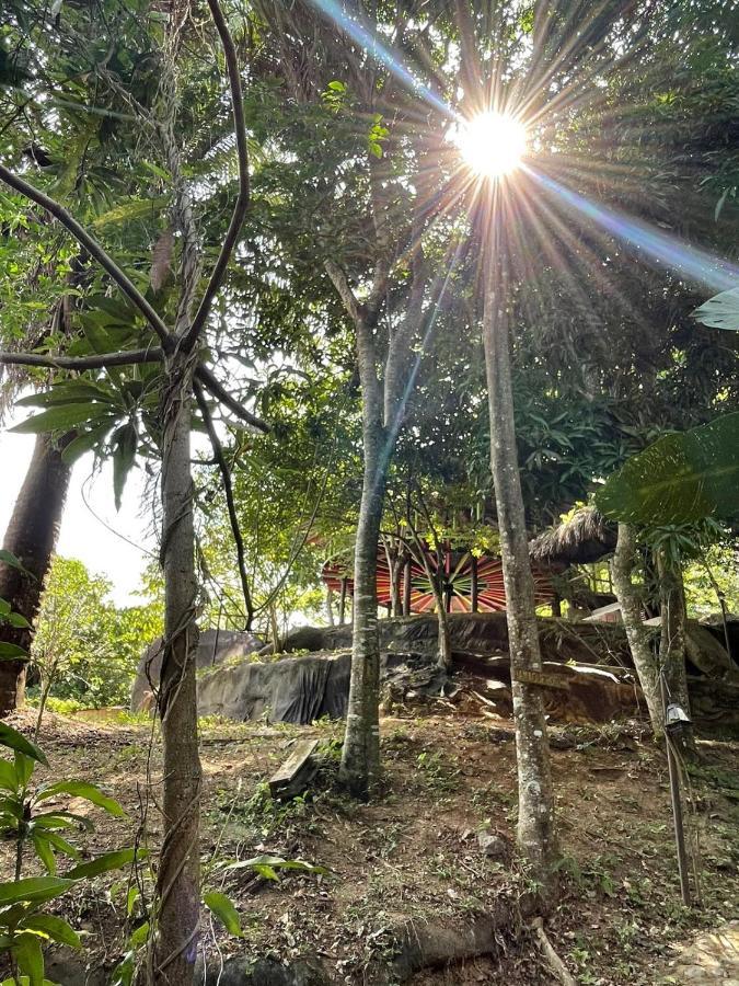 Ecohostal Rio Piedra الزينو المظهر الخارجي الصورة