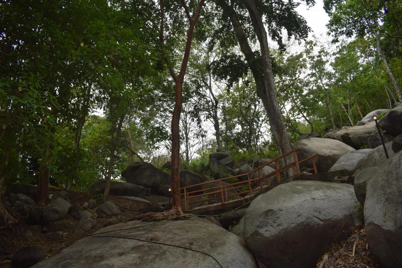 Ecohostal Rio Piedra الزينو المظهر الخارجي الصورة